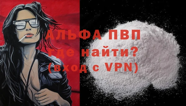 стаф Майский