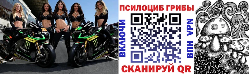 Галлюциногенные грибы ЛСД  Купить где  Новошахтинск 